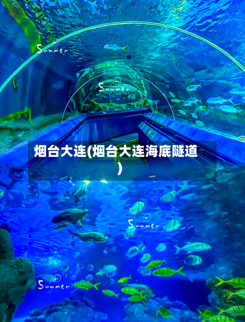 烟台大连(烟台大连海底隧道)-第3张图片