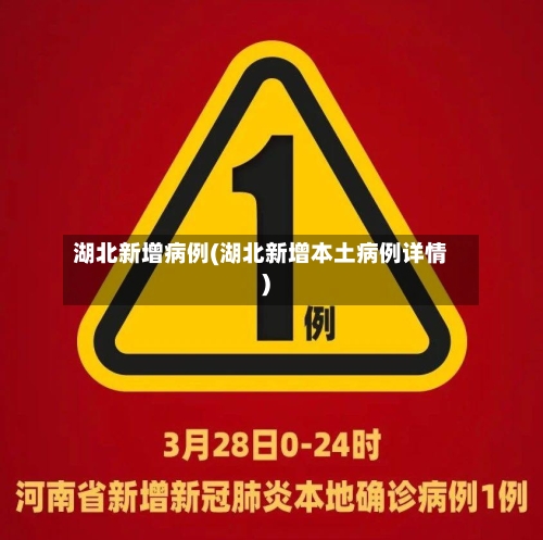 湖北新增病例(湖北新增本土病例详情)