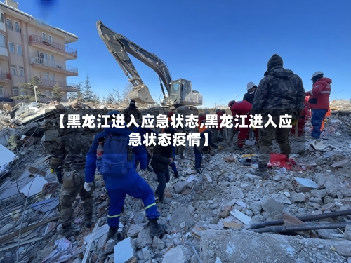 【黑龙江进入应急状态,黑龙江进入应急状态疫情】-第3张图片