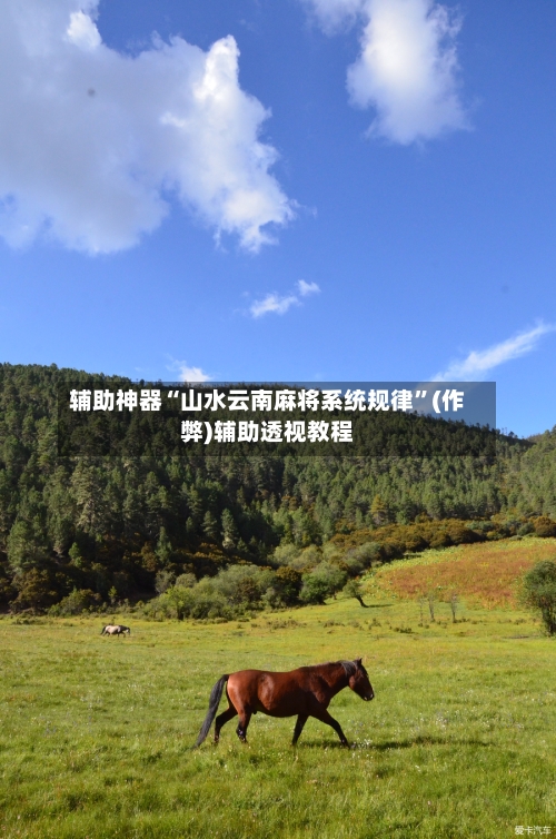 辅助神器“山水云南麻将系统规律”(作弊)辅助透视教程