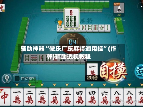 辅助神器“微乐广东麻将通用挂”(作弊)辅助透视教程-第2张图片