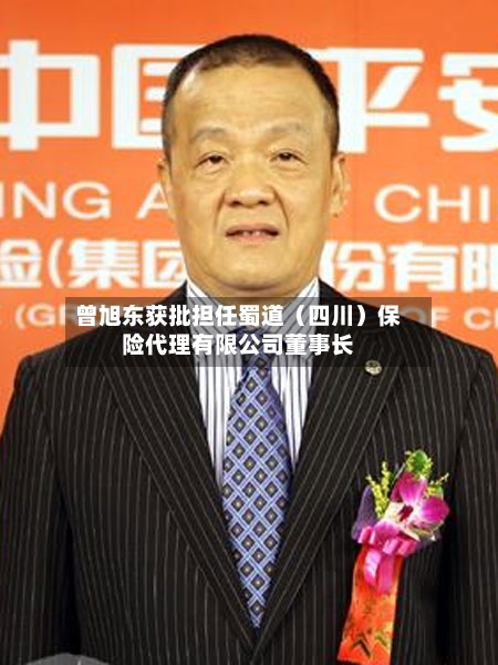 曾旭东获批担任蜀道（四川）保险代理有限公司董事长