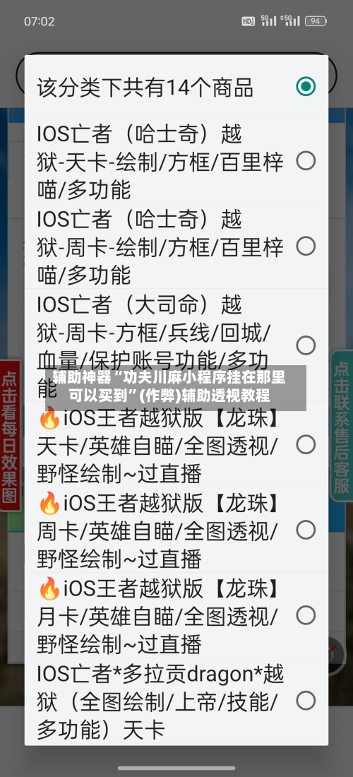 辅助神器“功夫川麻小程序挂在那里可以买到”(作弊)辅助透视教程-第3张图片