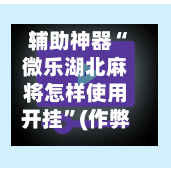 辅助神器“微乐湖北麻将怎样使用开挂”(作弊)辅助透视教程