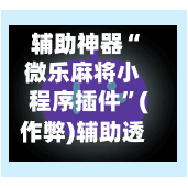 辅助神器“微乐麻将小程序插件”(作弊)辅助透视教程-第2张图片