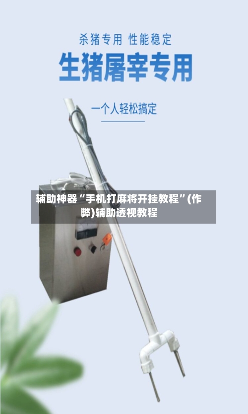 辅助神器“手机打麻将开挂教程”(作弊)辅助透视教程