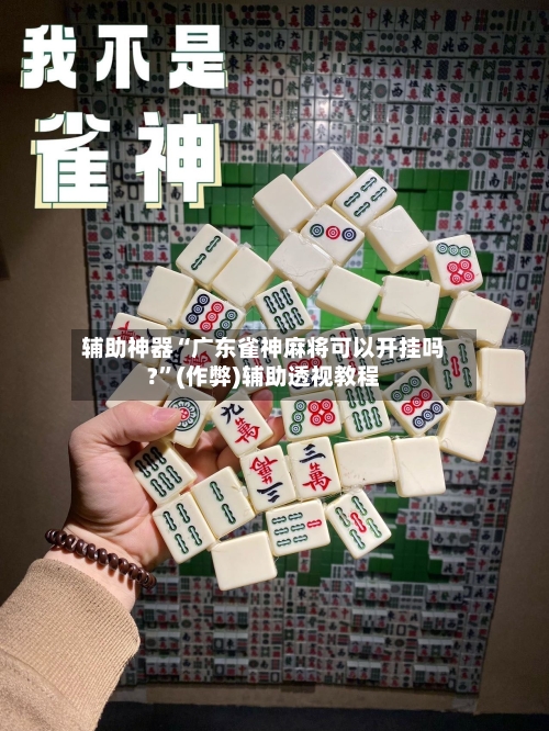 辅助神器“广东雀神麻将可以开挂吗?	”(作弊)辅助透视教程-第3张图片