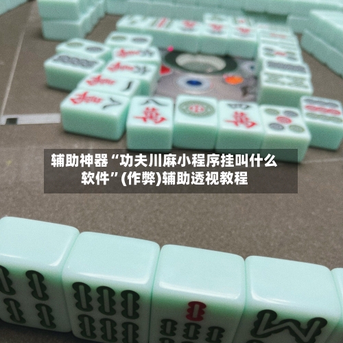 辅助神器“功夫川麻小程序挂叫什么软件”(作弊)辅助透视教程-第3张图片