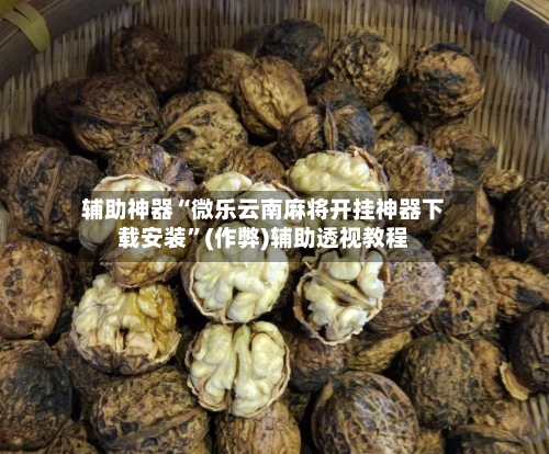 辅助神器“微乐云南麻将开挂神器下载安装”(作弊)辅助透视教程-第3张图片