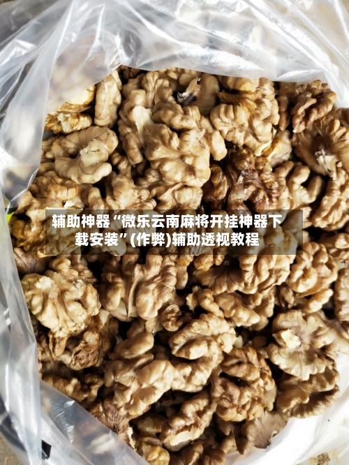 辅助神器“微乐云南麻将开挂神器下载安装”(作弊)辅助透视教程-第2张图片