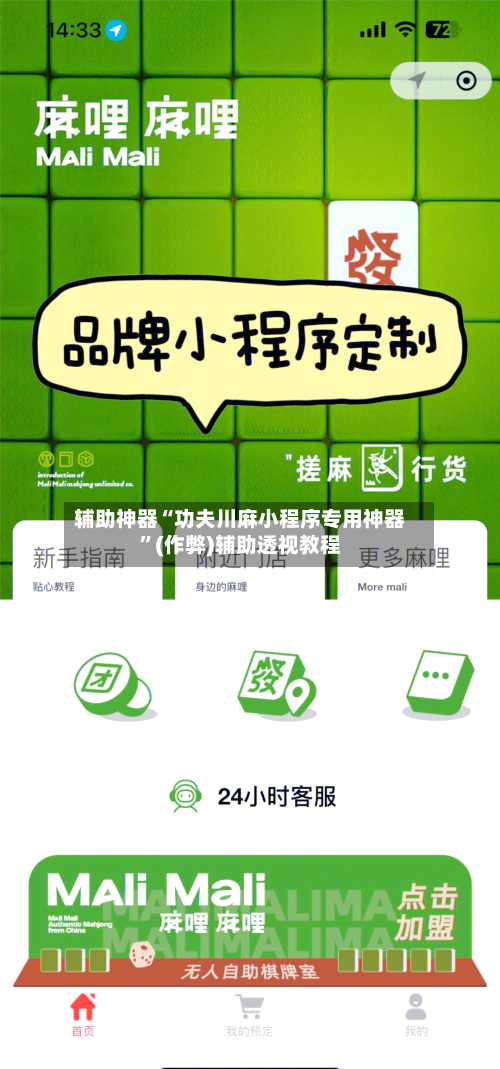 辅助神器“功夫川麻小程序专用神器	”(作弊)辅助透视教程-第3张图片