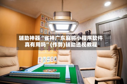 辅助神器“雀神广东麻将小程序软件真有用吗”(作弊)辅助透视教程-第2张图片