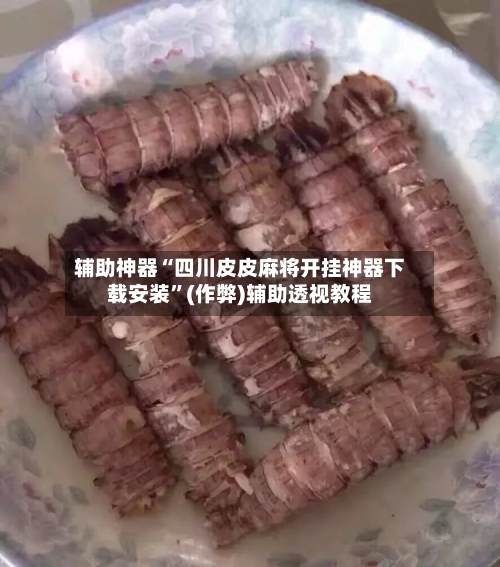 辅助神器“四川皮皮麻将开挂神器下载安装	”(作弊)辅助透视教程-第2张图片