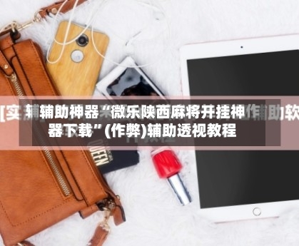 辅助神器“微乐陕西麻将开挂神器下载”(作弊)辅助透视教程-第2张图片