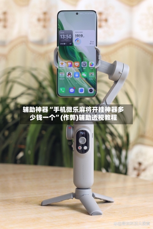 辅助神器“手机微乐麻将开挂神器多少钱一个”(作弊)辅助透视教程-第3张图片