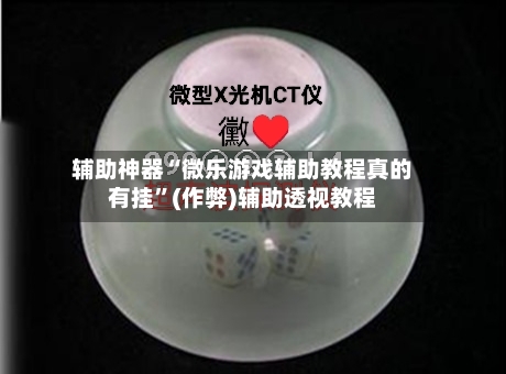 辅助神器“微乐游戏辅助教程真的有挂”(作弊)辅助透视教程-第3张图片