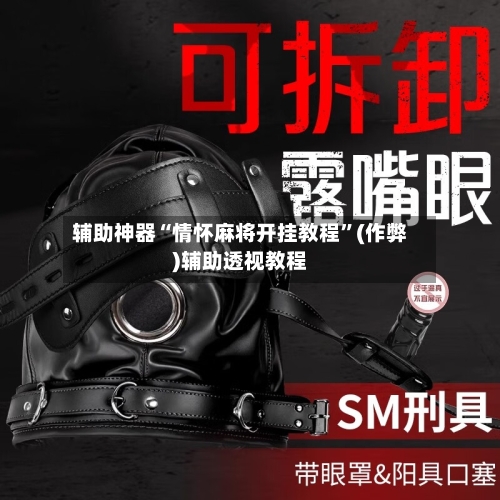 辅助神器“情怀麻将开挂教程”(作弊)辅助透视教程-第2张图片