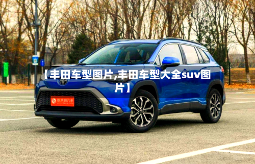 【丰田车型图片,丰田车型大全suv图片】-第3张图片