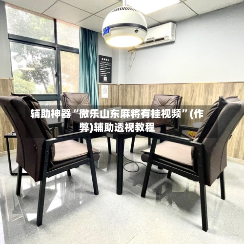 辅助神器“微乐山东麻将有挂视频”(作弊)辅助透视教程