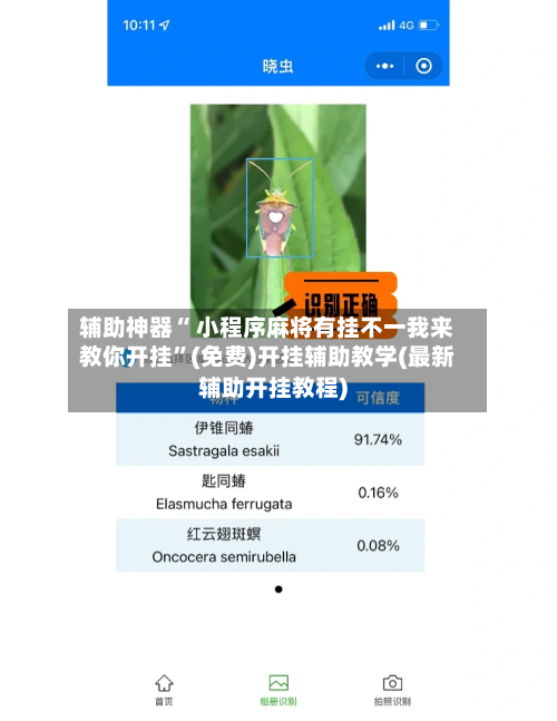 辅助神器“ 小程序麻将有挂不一我来教你开挂”(免费)开挂辅助教学(最新辅助开挂教程)-第2张图片