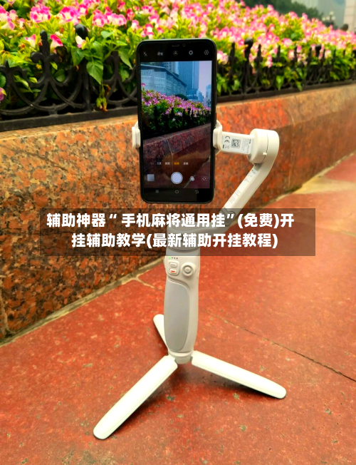 辅助神器“ 手机麻将通用挂”(免费)开挂辅助教学(最新辅助开挂教程)-第2张图片