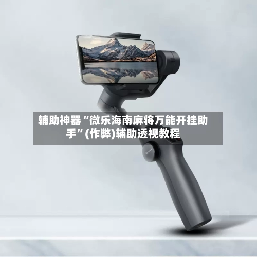 辅助神器“微乐海南麻将万能开挂助手”(作弊)辅助透视教程-第2张图片