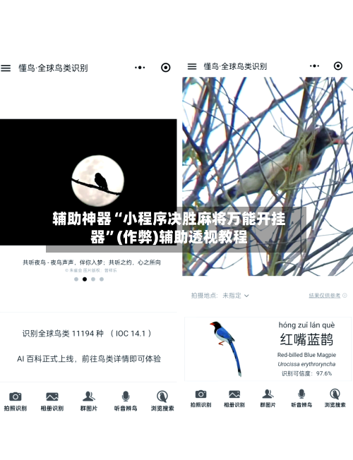 辅助神器“小程序决胜麻将万能开挂器”(作弊)辅助透视教程
