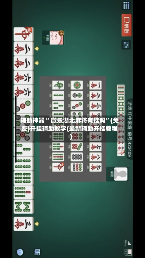 辅助神器“ 微乐湖北麻将有挂吗”(免费)开挂辅助教学(最新辅助开挂教程)-第2张图片