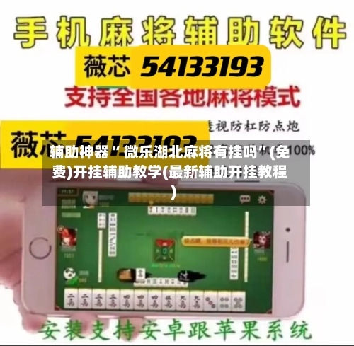 辅助神器“ 微乐湖北麻将有挂吗	”(免费)开挂辅助教学(最新辅助开挂教程)-第3张图片