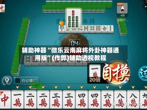辅助神器“微乐云南麻将外卦神器通用版”(作弊)辅助透视教程-第2张图片