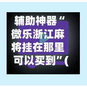 辅助神器“微乐浙江麻将挂在那里可以买到”(作弊)辅助透视教程-第2张图片