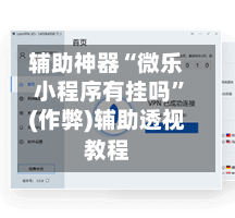 辅助神器“微乐小程序有挂吗”(作弊)辅助透视教程-第2张图片