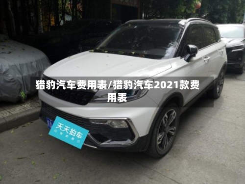 猎豹汽车费用表/猎豹汽车2021款费用表-第3张图片