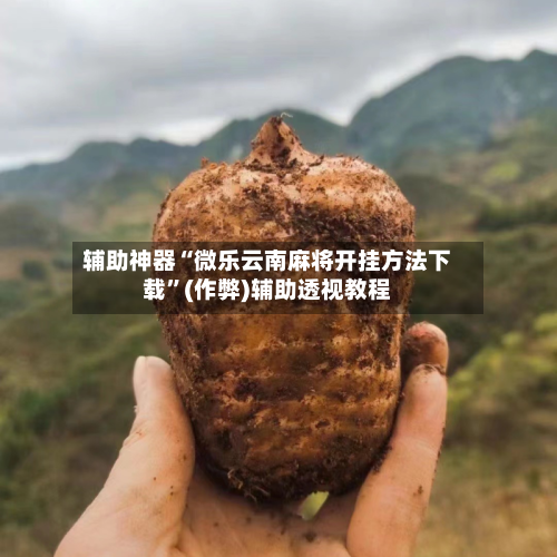 辅助神器“微乐云南麻将开挂方法下载”(作弊)辅助透视教程