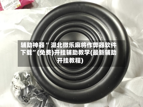 辅助神器“ 湖北微乐麻将作弊器软件下载”(免费)开挂辅助教学(最新辅助开挂教程)-第3张图片