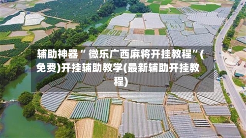 辅助神器“ 微乐广西麻将开挂教程”(免费)开挂辅助教学(最新辅助开挂教程)