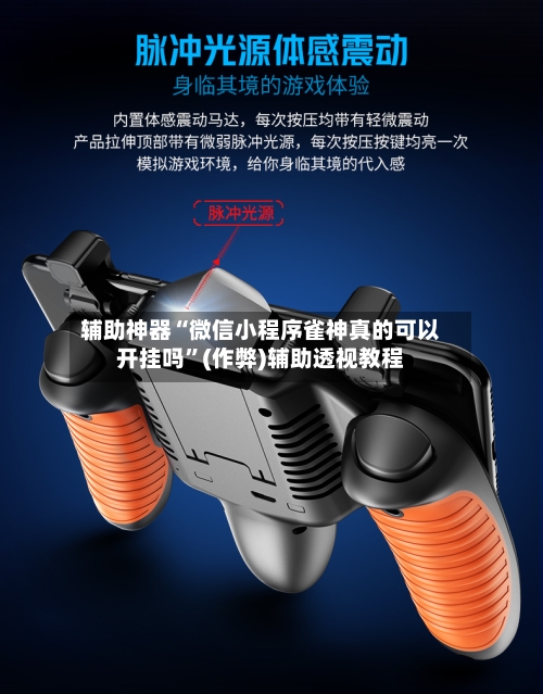 辅助神器“微信小程序雀神真的可以开挂吗”(作弊)辅助透视教程-第3张图片