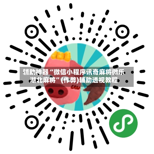 辅助神器“微信小程序讯奇麻将微乐湖北麻将”(作弊)辅助透视教程-第3张图片