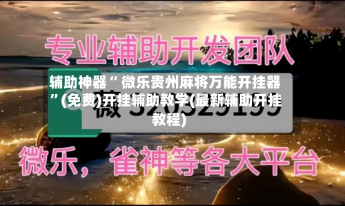 辅助神器“ 微乐贵州麻将万能开挂器	”(免费)开挂辅助教学(最新辅助开挂教程)-第3张图片