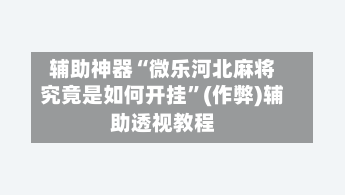 辅助神器“微乐河北麻将究竟是如何开挂	”(作弊)辅助透视教程-第3张图片