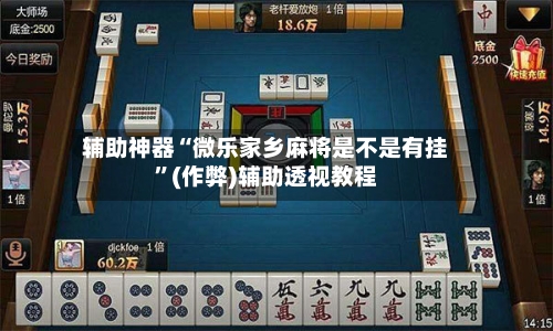 辅助神器“微乐家乡麻将是不是有挂”(作弊)辅助透视教程-第2张图片