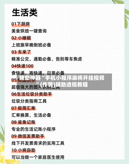 辅助神器“手机小程序麻将开挂视频”(作弊)辅助透视教程-第2张图片