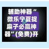 辅助神器“ 微乐宁夏捉麻子必赢神器”(免费)开挂辅助教学(最新辅助开挂教程)-第3张图片