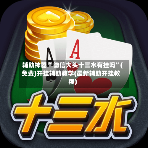 辅助神器“ 微信大头十三水有挂吗”(免费)开挂辅助教学(最新辅助开挂教程)