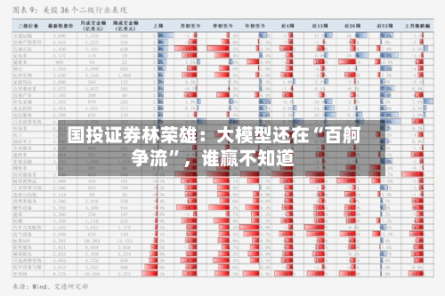 国投证券林荣雄：大模型还在“百舸争流	”，谁赢不知道-第2张图片
