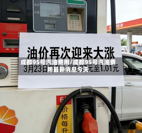 成都95号汽油费用/成都95号汽油费用最新消息今天-第2张图片