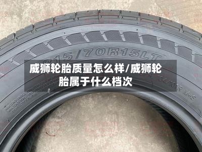 威狮轮胎质量怎么样/威狮轮胎属于什么档次-第2张图片