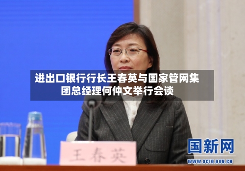 进出口银行行长王春英与国家管网集团总经理何仲文举行会谈