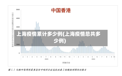 上海疫情累计多少例(上海疫情总共多少例)-第2张图片