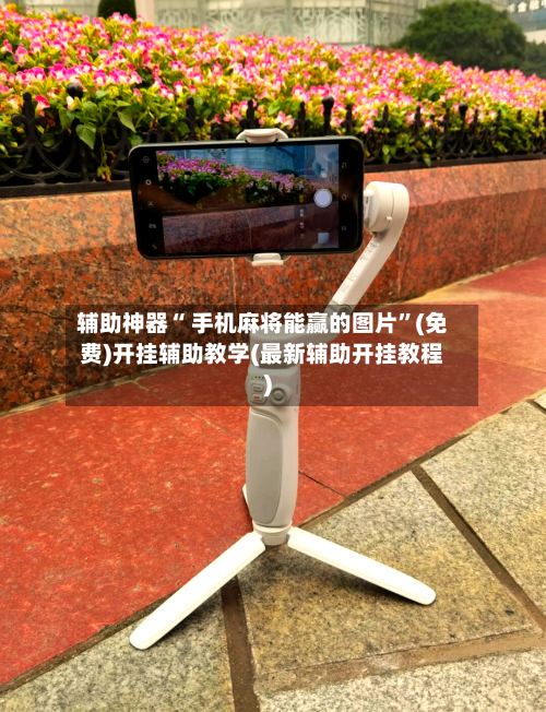 辅助神器“ 手机麻将能赢的图片”(免费)开挂辅助教学(最新辅助开挂教程)